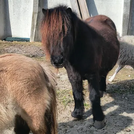 Vakantieboerderij Podere Fondo Chiusa